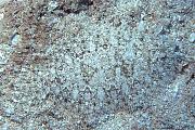 kp2585-fish-13d,8b,4xiuc.tif