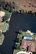 lr156-manatee-13d,8b,4xiu.tif