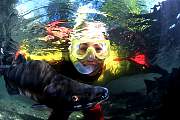 mj254salmon13d8b4xiuc.tif