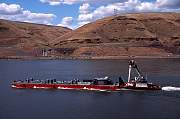 mo12salmon13d8b4xiuc.tif