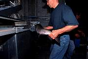 mo194salmon13d8b4xiuc.tif