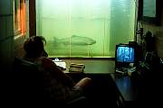 mo224salmon13d8b4xiuc.tif