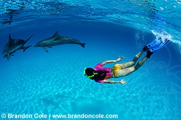 pk10803-D. Atlantic Spotted Dolphin, and swimmer Melissa Cole (model released)