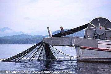 ly40. commercial salmon fishing boat, hauling in net