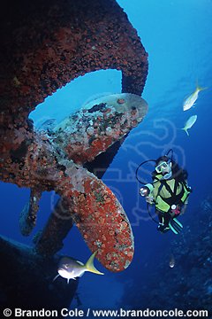 md8. scuba diver exploring sunken shipwreck of the Hilma Hooker in Bonaire. Caribbean.