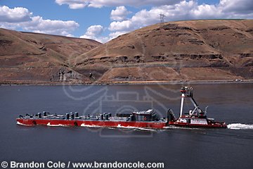 mo12. Salmon Barge on Snake River WA transporting juvenile salmon bypassing dams. Most are hatchery raised.
