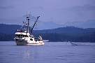 ly27-salmon-13d,8b,4xiuc.tif